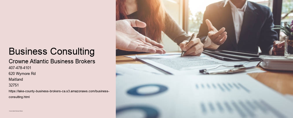 Business Consulting