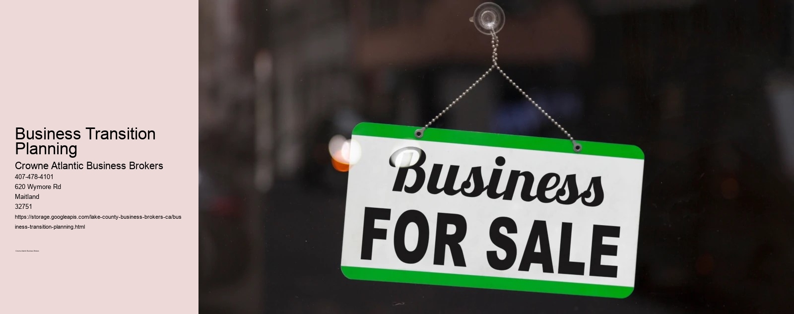 Business Transition Planning
