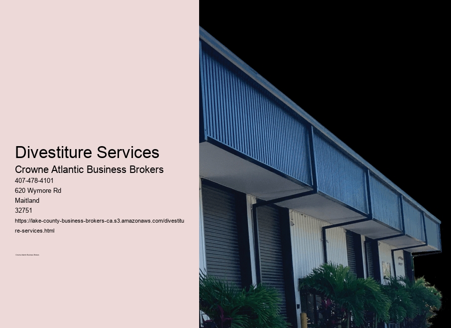 Divestiture Services